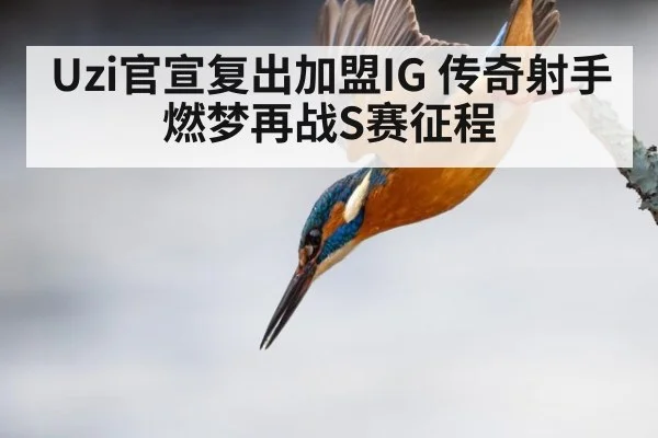 Uzi官宣复出加盟IG 传奇射手燃梦再战S赛征程